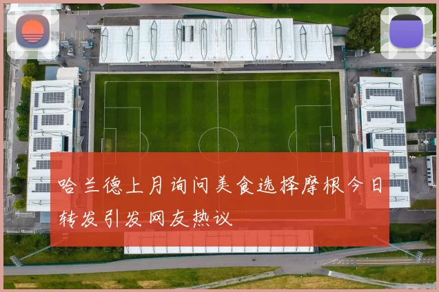 哈兰德上月询问美食选择摩根今日转发引发网友热议