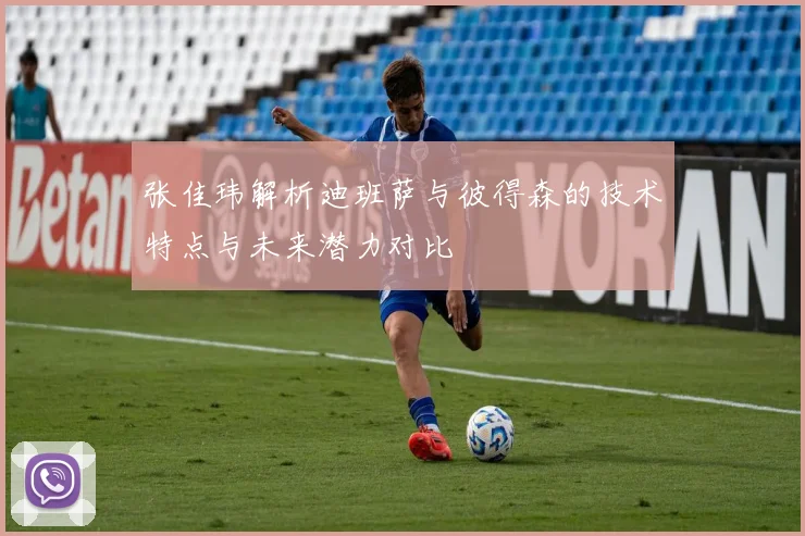 张佳玮解析迪班萨与彼得森的技术特点与未来潜力对比