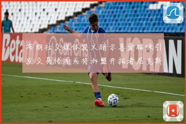 布朗社交媒体发文暗示喜爱猫咪引发交易传闻或将加盟开拓者尼克斯雷霆湖人