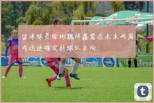 留洋球员徐彬魏祥鑫需在未来两周内迅速确定新球队去向